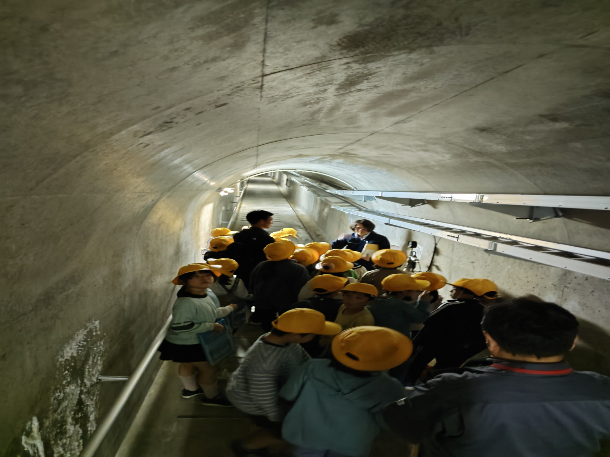 監査廊内を見学する様子