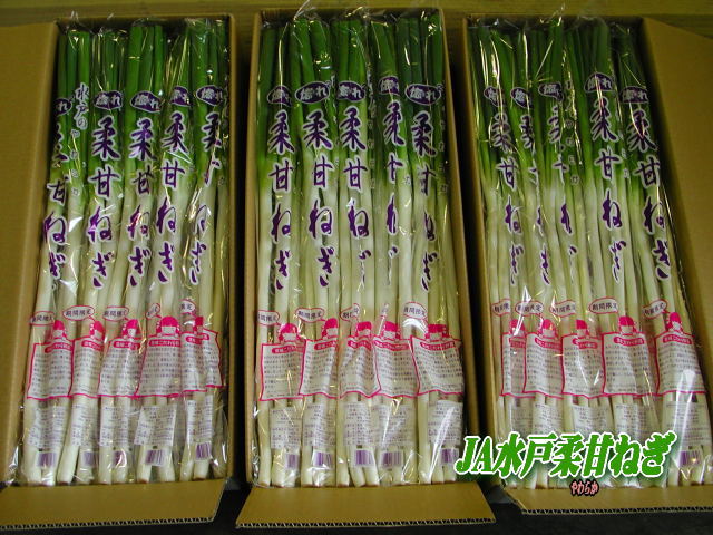 04-1_yawarakanegi.jpg