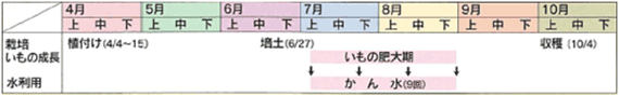 01_satoimo.gif