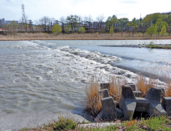 天竜川の低水時は水面高より伏せ越しの方が高くなるほどで川の水とぶつかり常に水飛沫が上がっています。