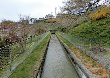 農業用水の周囲に桜などがあり、自然豊かな様子がわかります。
