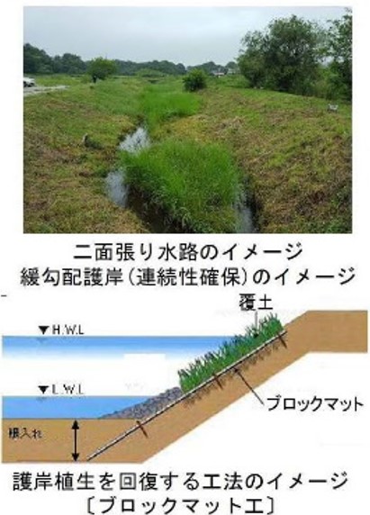 env-2.jpg