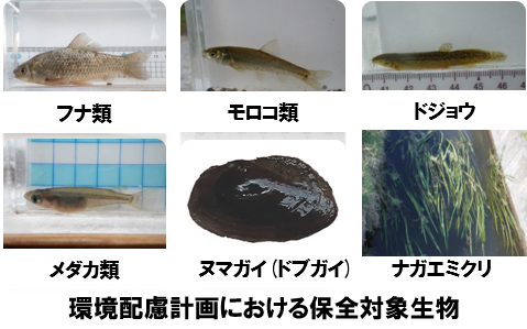 環境配慮への取組 関東農政局 環境配慮への取組 関東農政局