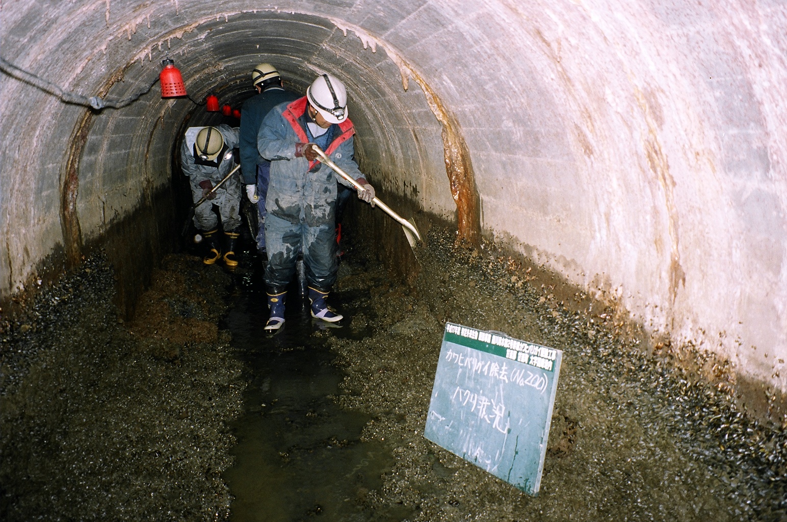 カワヒバリガイの除去作業