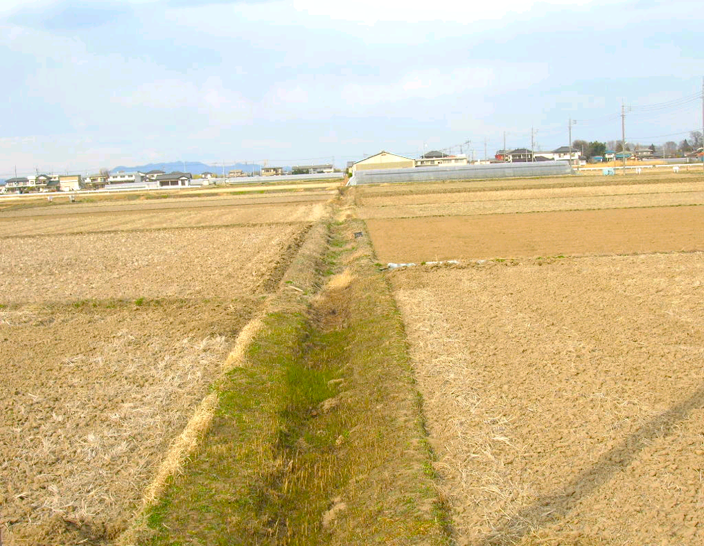 施工前（素堀水路）