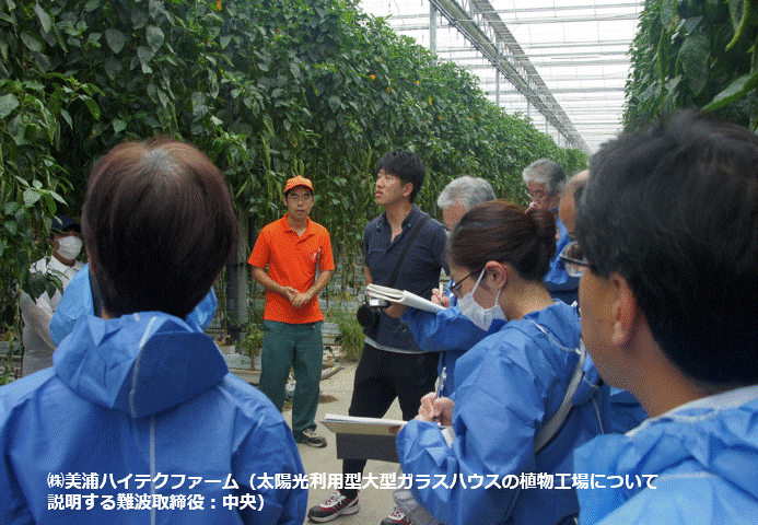 報道関係者との現地調査(茨城県美浦村)