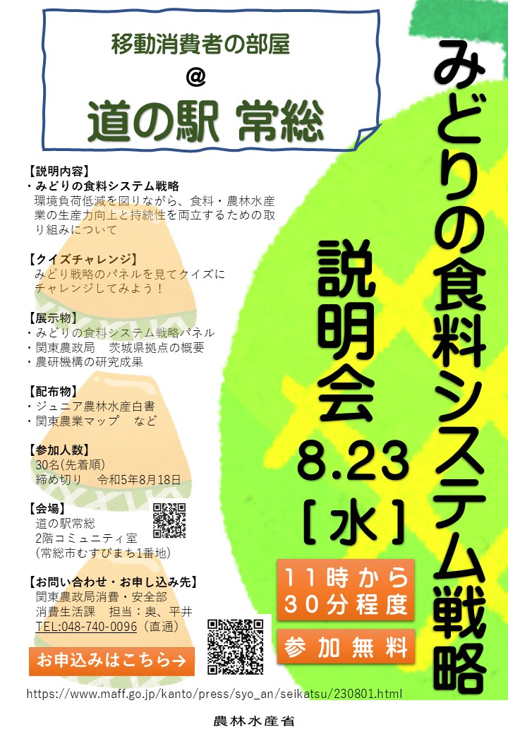 チラシ