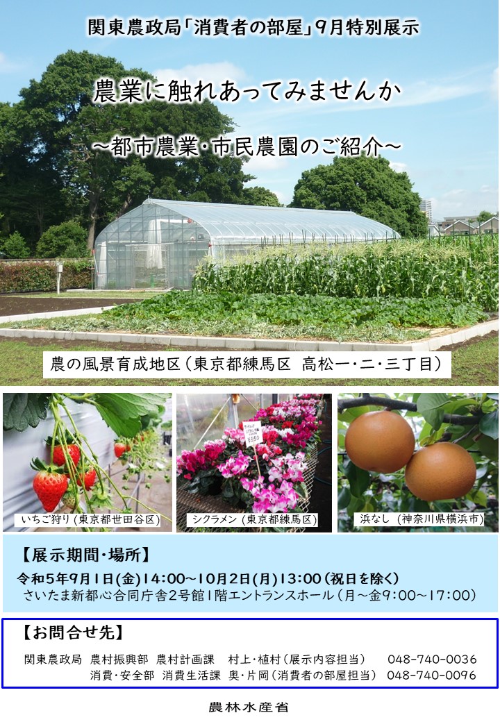 チラシ