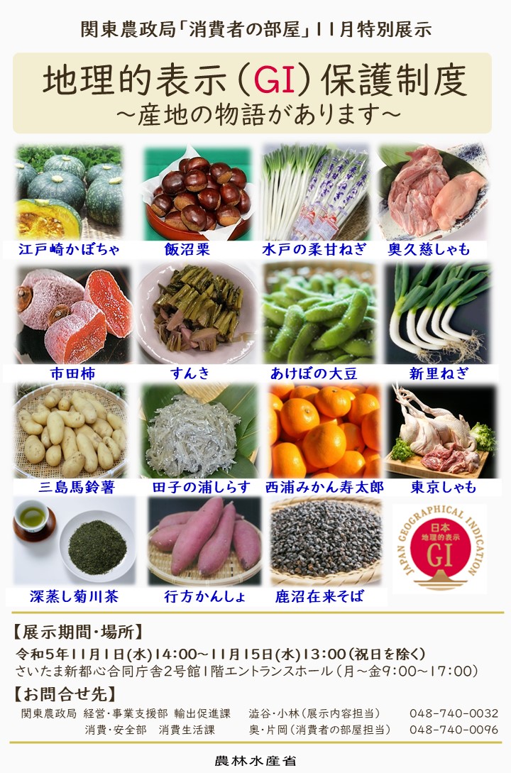 チラシ