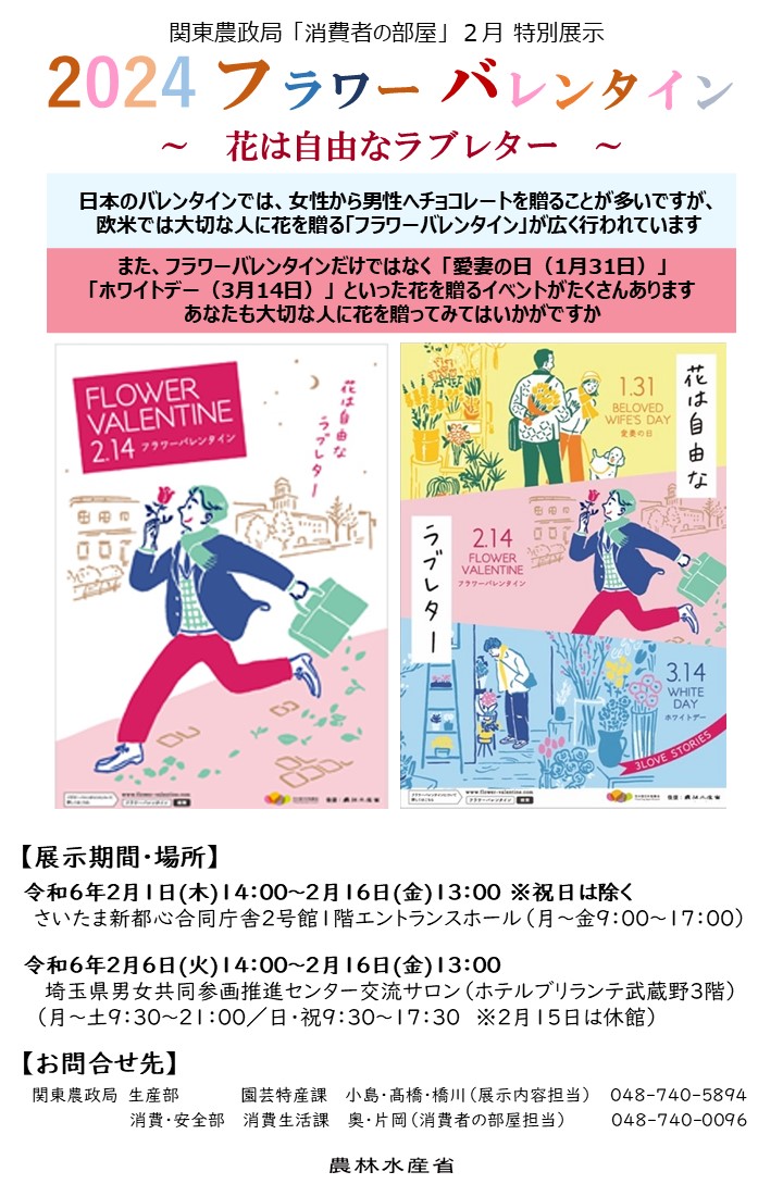 チラシ