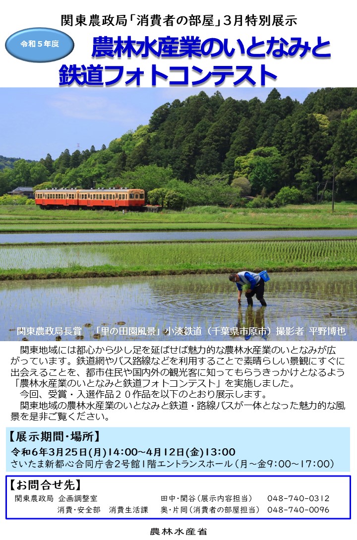 チラシ