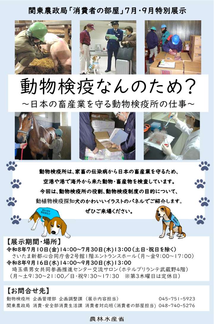 特別展示のチラシ