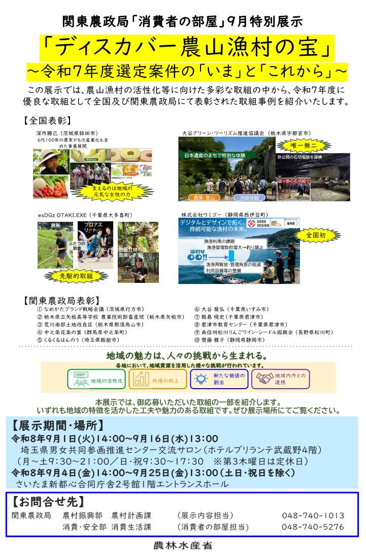 展示のチラシ