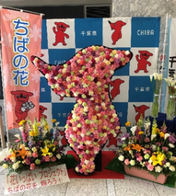20200319-tiba01-250.png