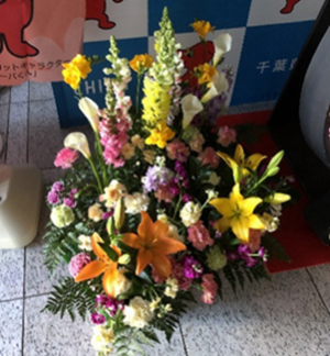 20200319-tiba02-300.png