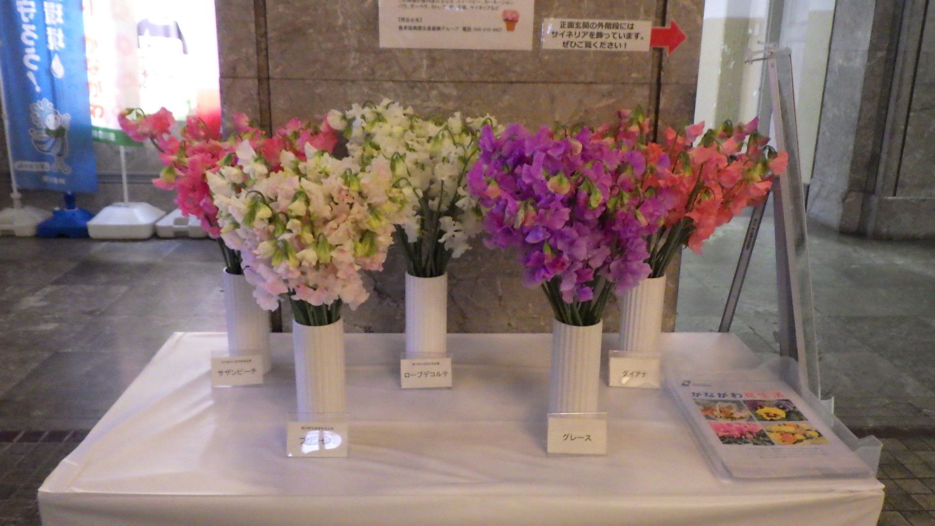 Kanagawa-Add01.JPG