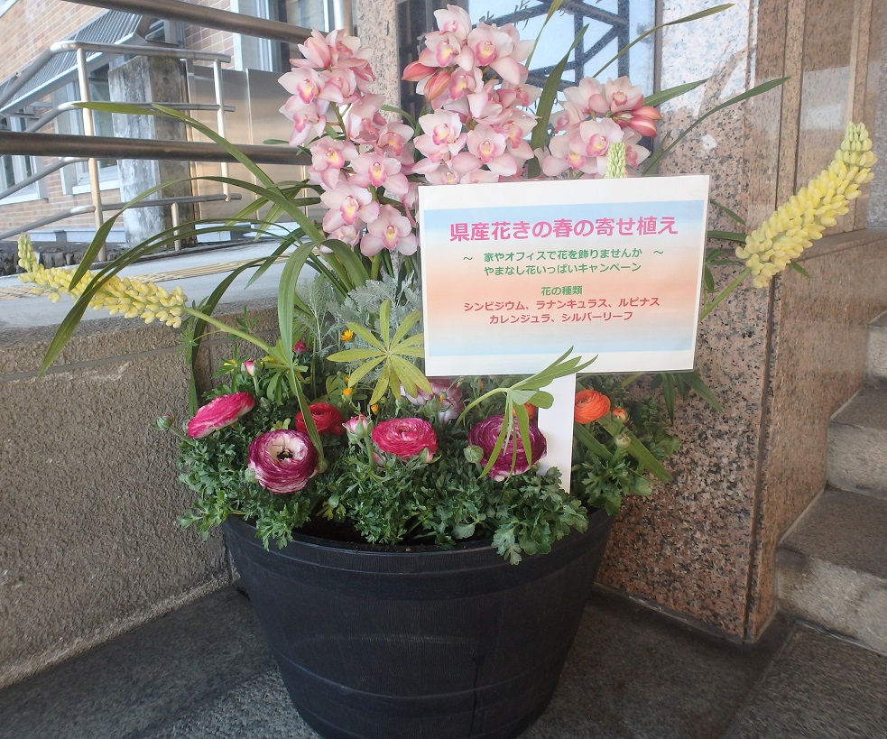 yamanashi04.JPG