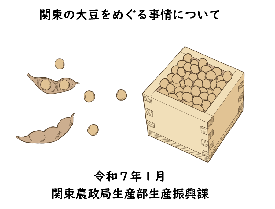 関東の大豆をめぐる事情について（令和7年度1月更新）