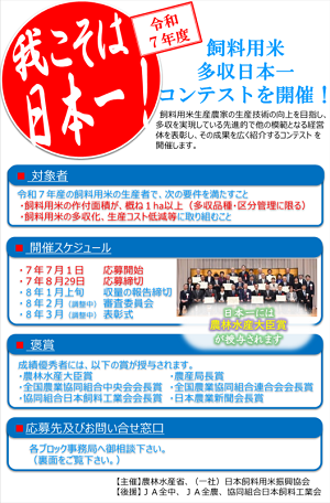 チラシ表