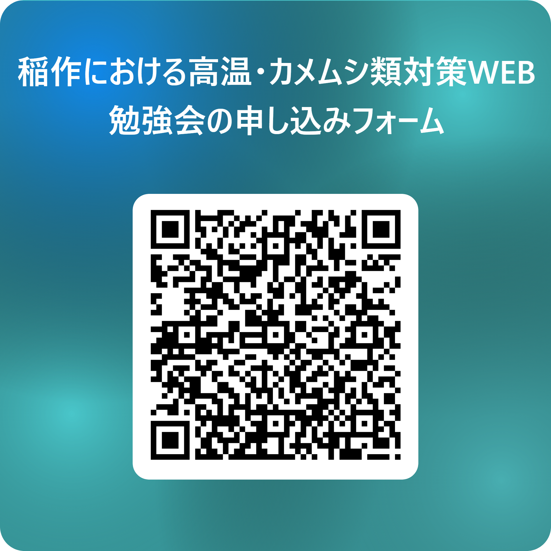 WEB勉強会申込フォームの二次元コード