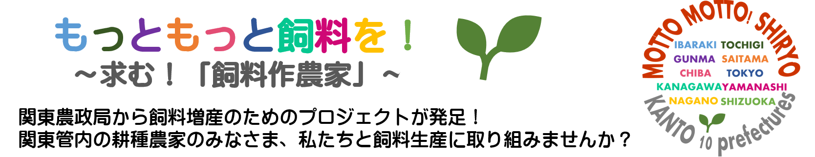 タイトル、ロゴ、説明分