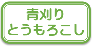 ボタン　青刈りとうもろこし