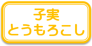 ボタン子実とうもろこし