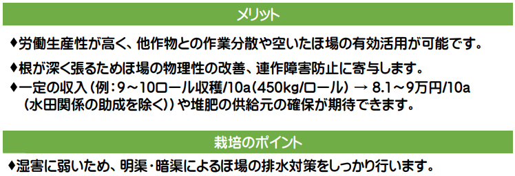 メリット。・労働生産性が高く、他作物との作業分散や空いたほ場の有効活用が可能です。・根が深く張るためほ場の物理性の改善、連作障害防止に寄与します。・一定の収入（1ロール500キログラムで10アールあたり６～7ロール収穫し、5.4～6.3万円の売り上げが見込）や堆肥の供給元の確保が期待できます。