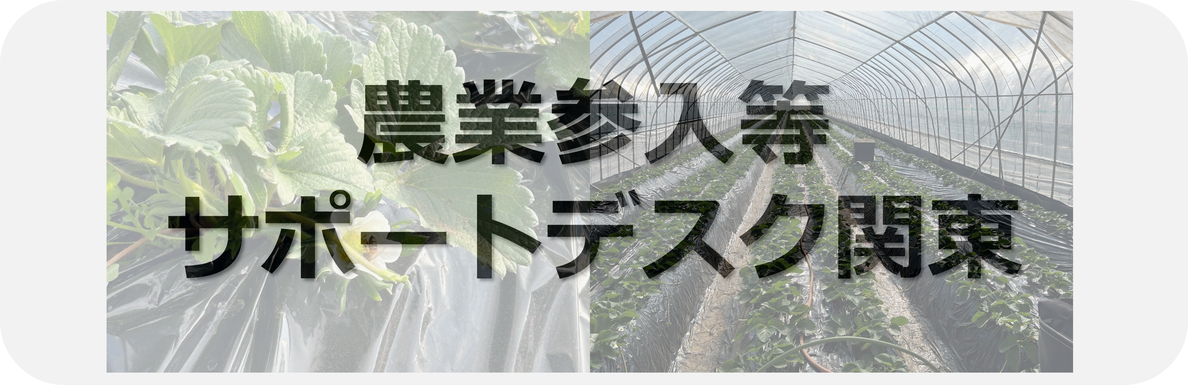 農業参入等支援窓口相談窓口