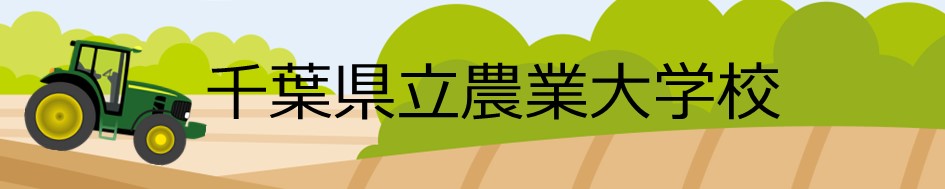 chiba.JPG