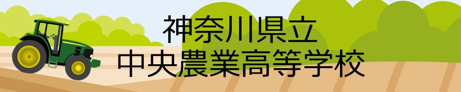 kanagawa.JPG