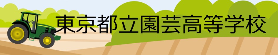 tokyo.JPG