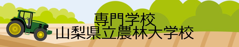 yamanashi.JPG