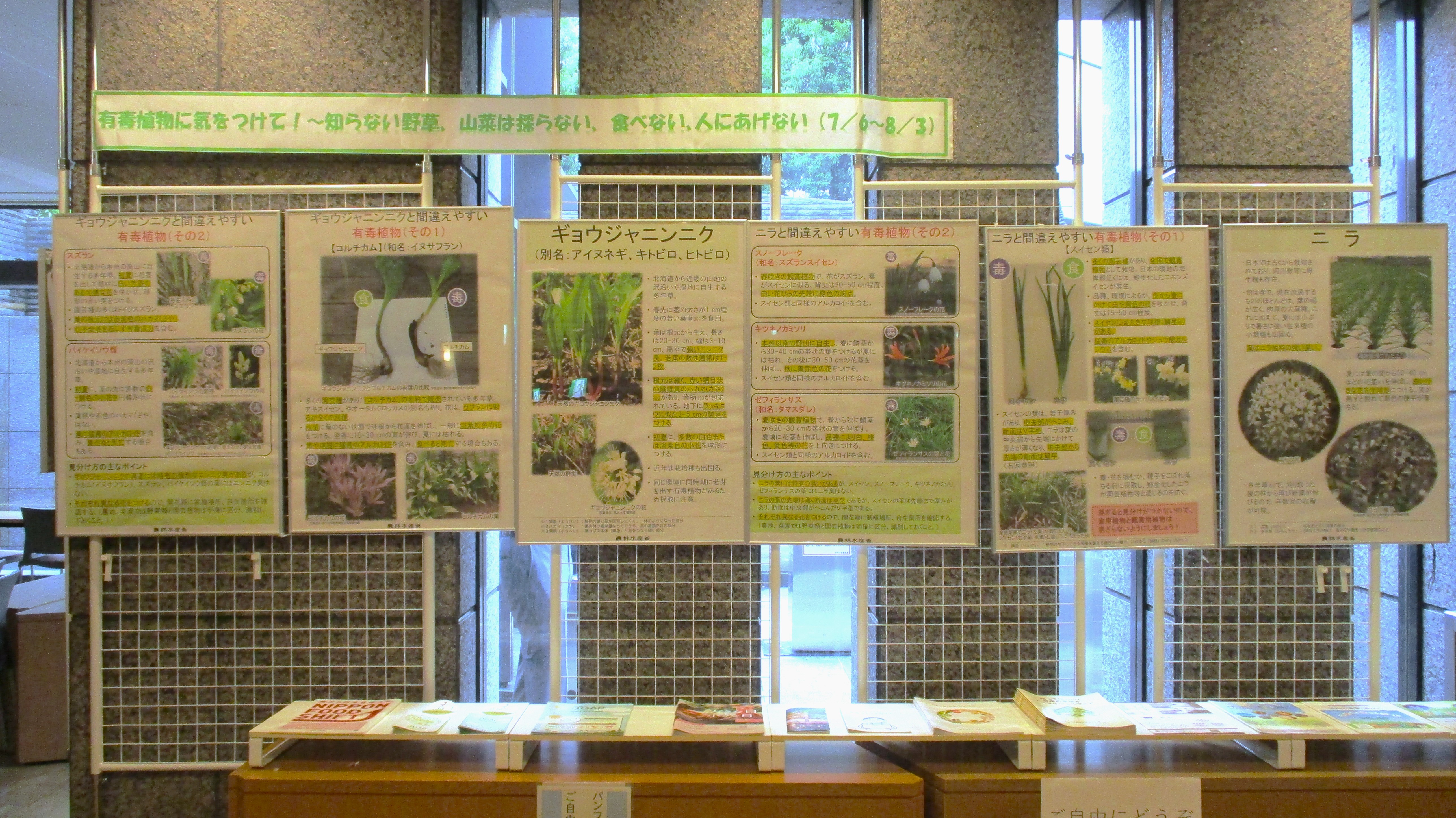 展示の様子