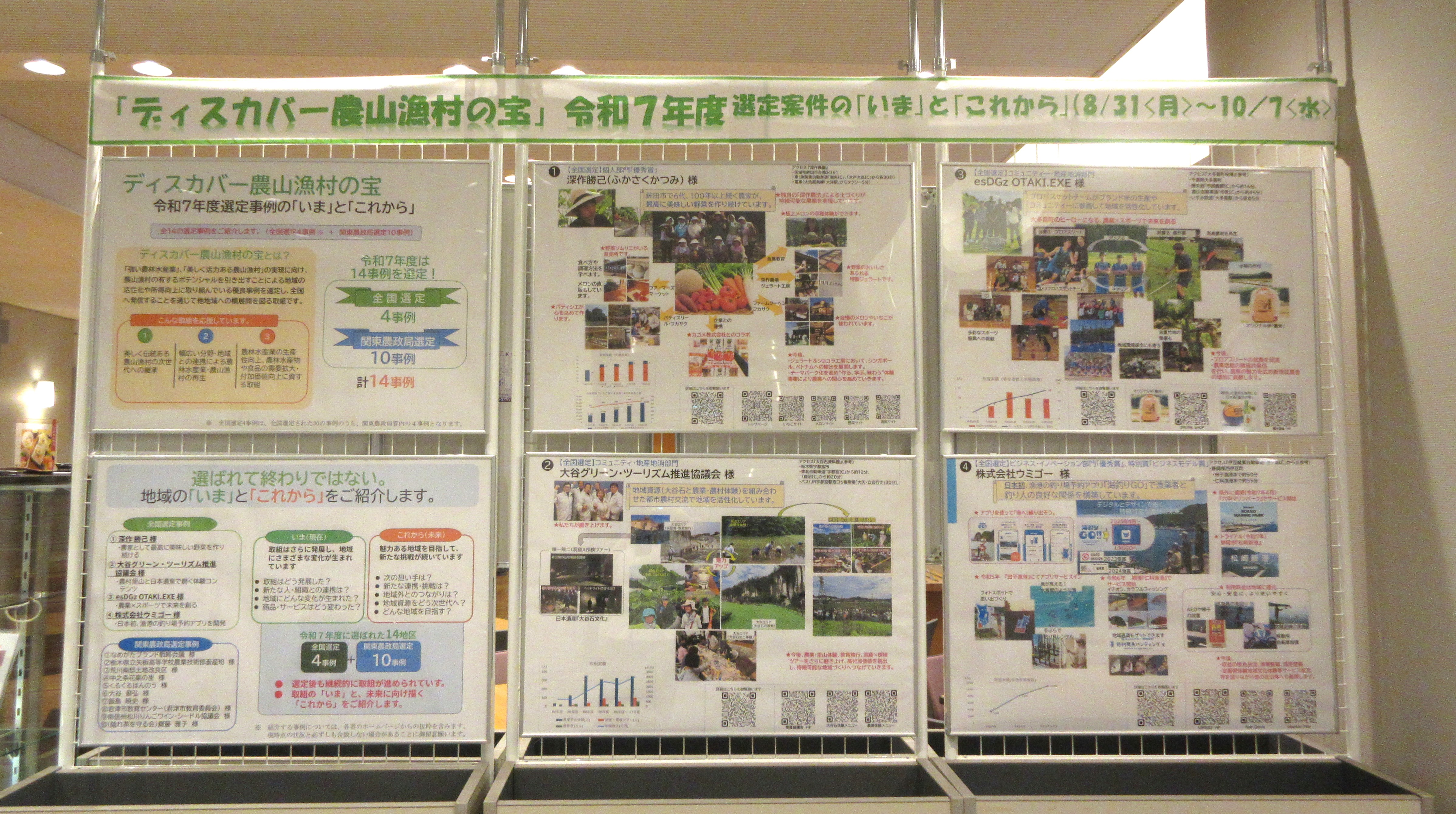 展示の様子