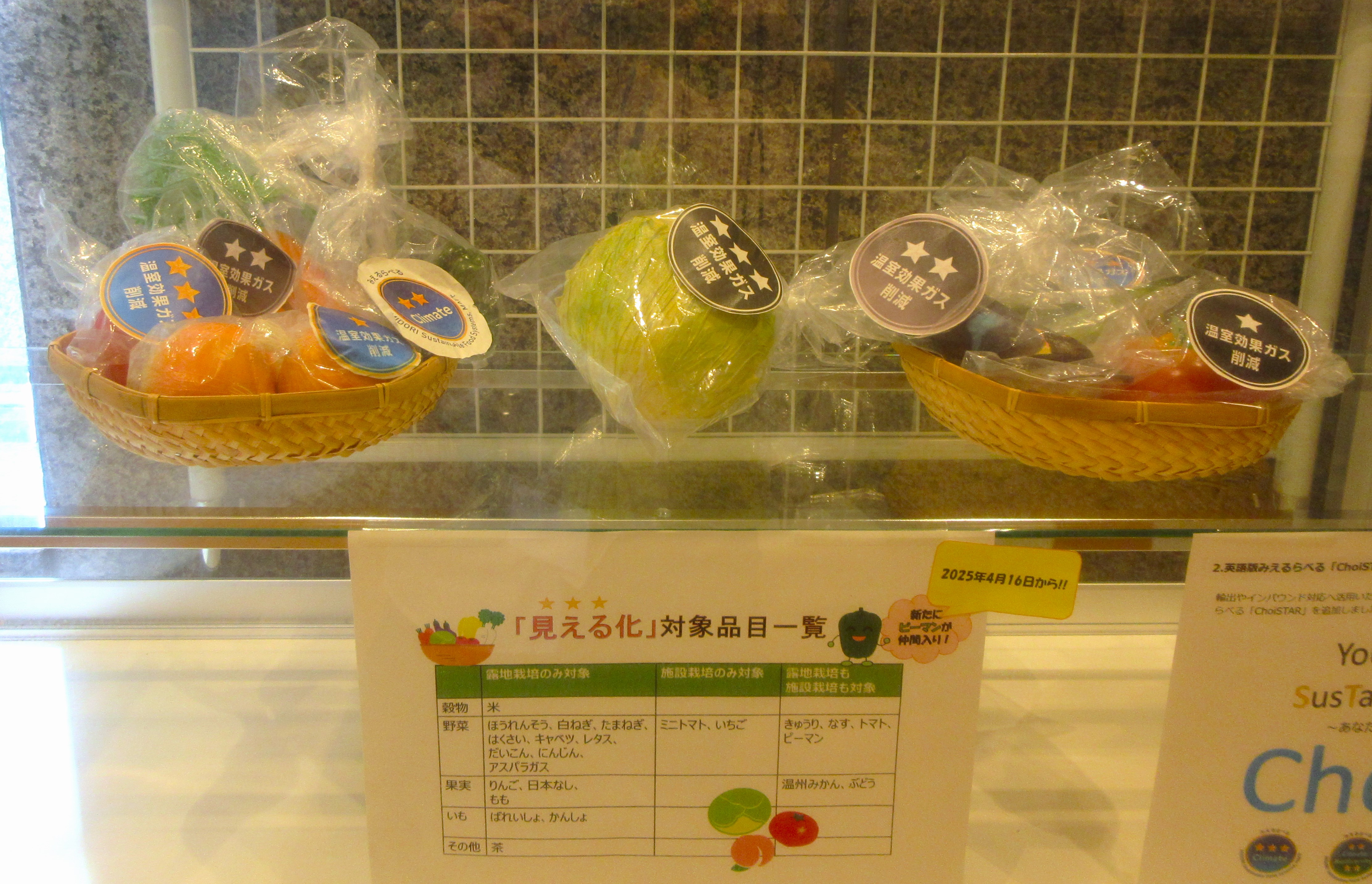 みえるらべるの模型