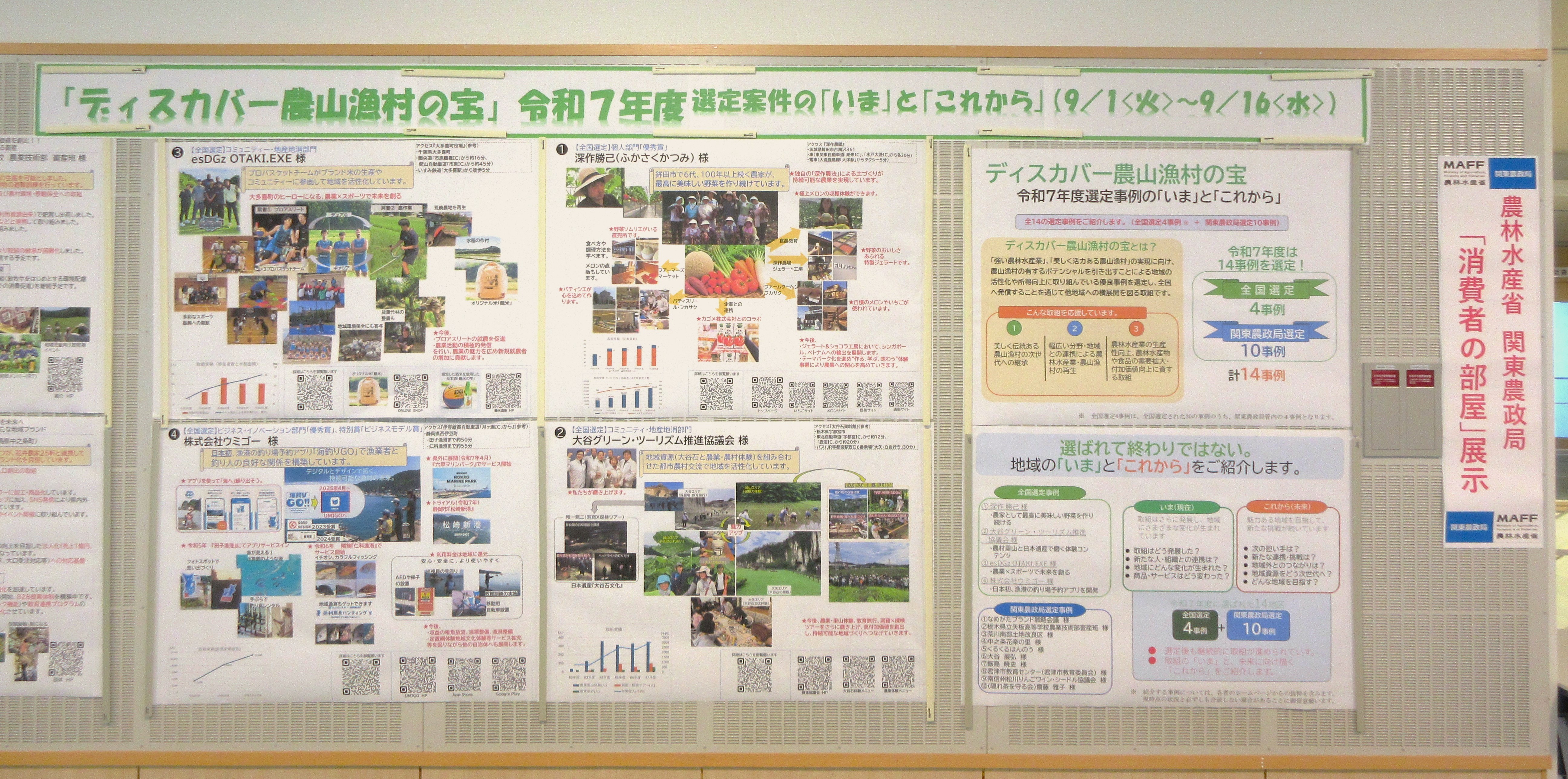 展示の様子