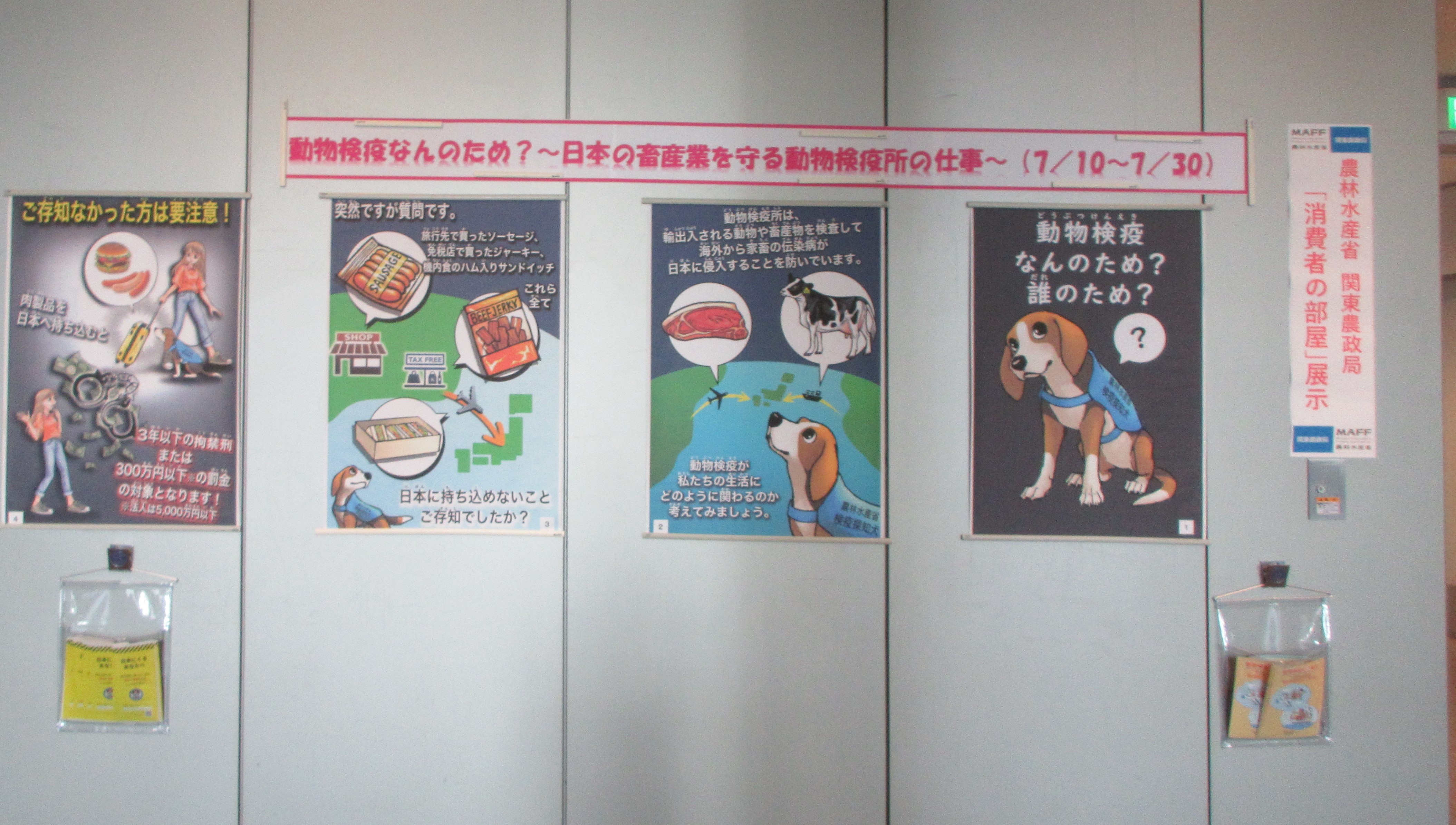 展示の様子
