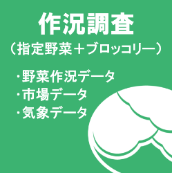 作況野菜