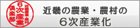 近畿の農業・農村の6次産業化