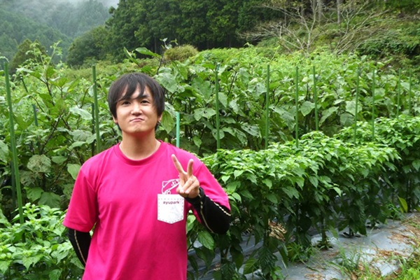 畑で、生産者一人