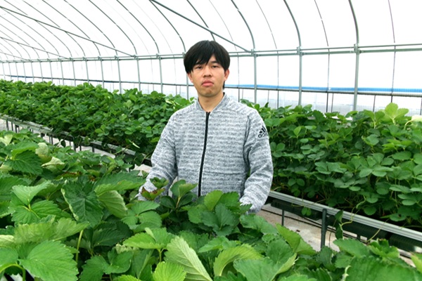 生産者の男性一人