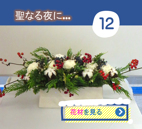 今週の花(12月)