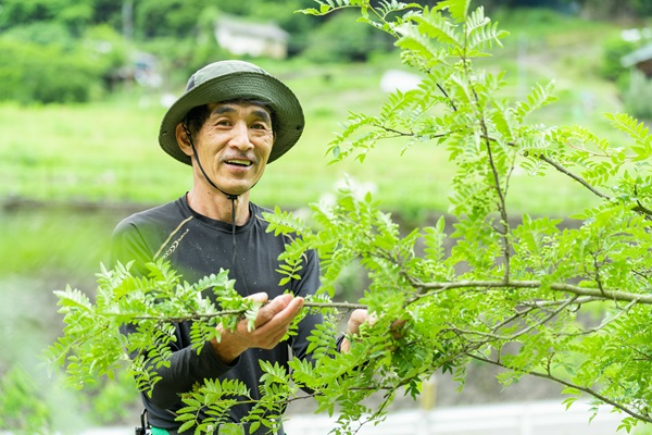 和歌山県拠点の写真