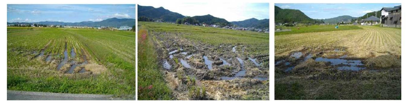 暗渠排水