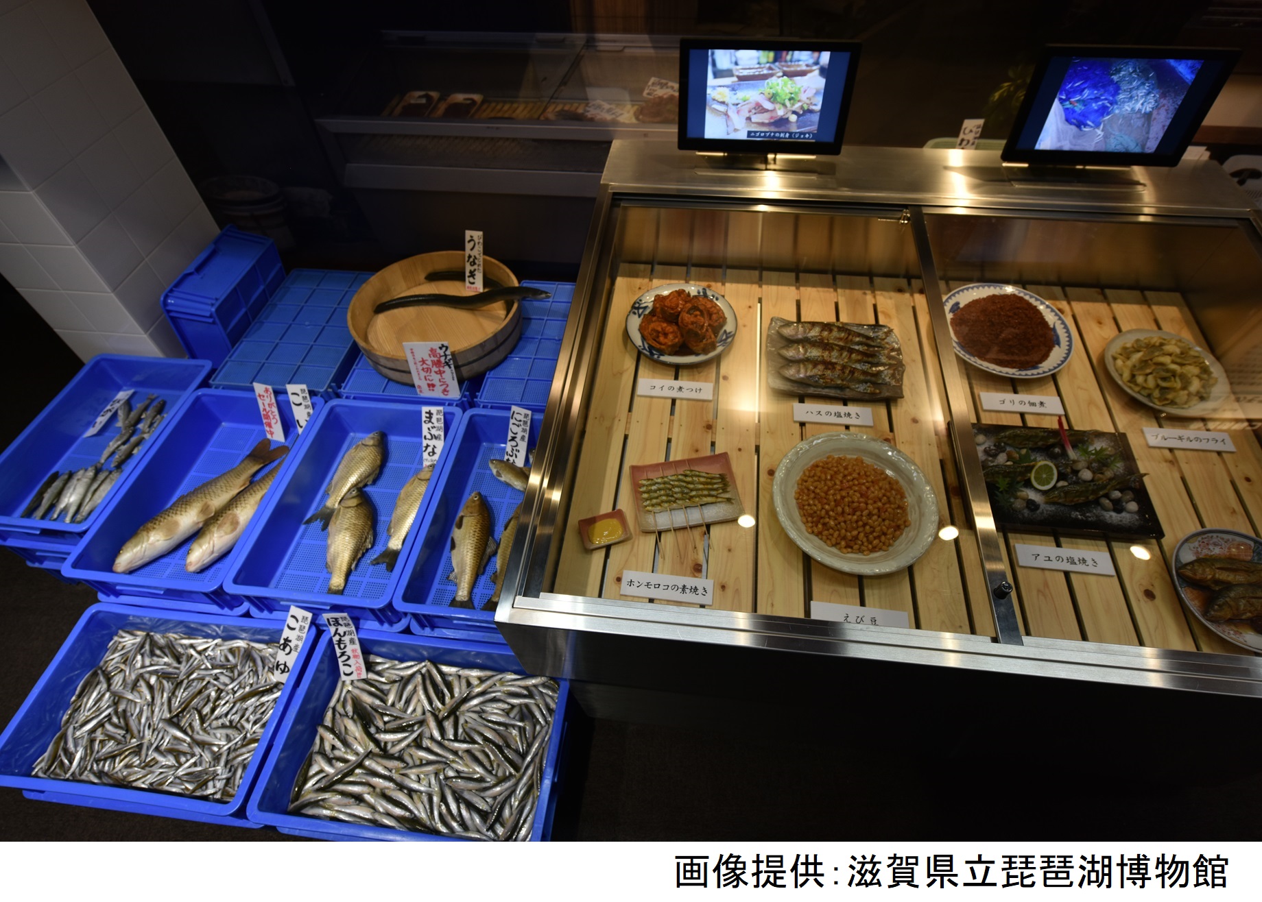 琵琶湖博物館