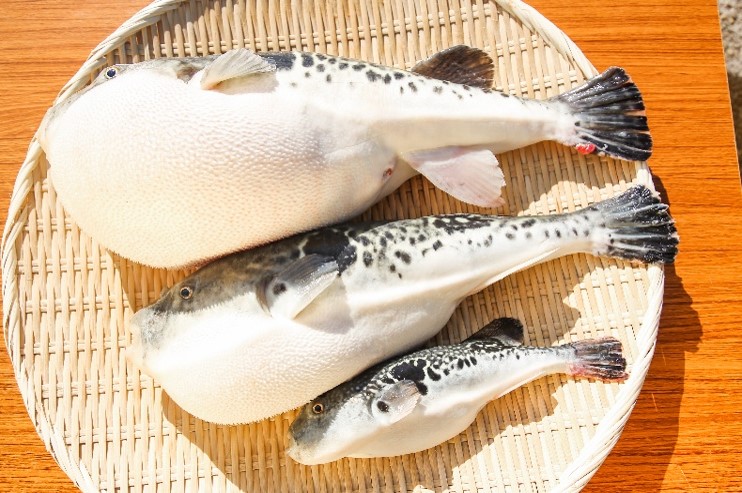 上から3年もの、2年もの、1年もの