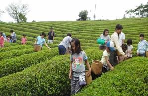 山添村波多野地区活性化協議会