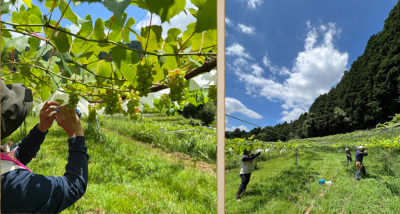 株式会社里山創生研究所