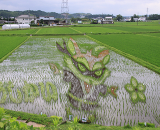 うしかい・甲南・信楽「ふるさと支え合い」プロジェクトチーム